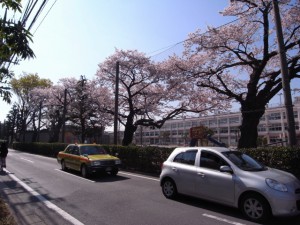 平和台駅からのルート⑦